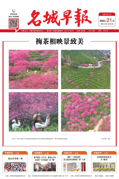 �����籨ͷ��