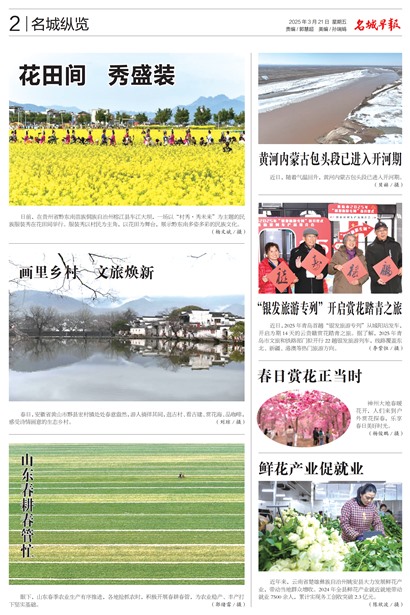�����籨Page 2
