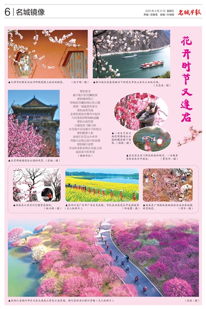 �����籨Page 6