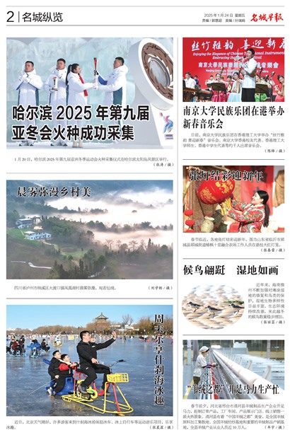 �����籨��������