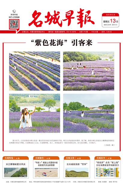 �����籨Page 1