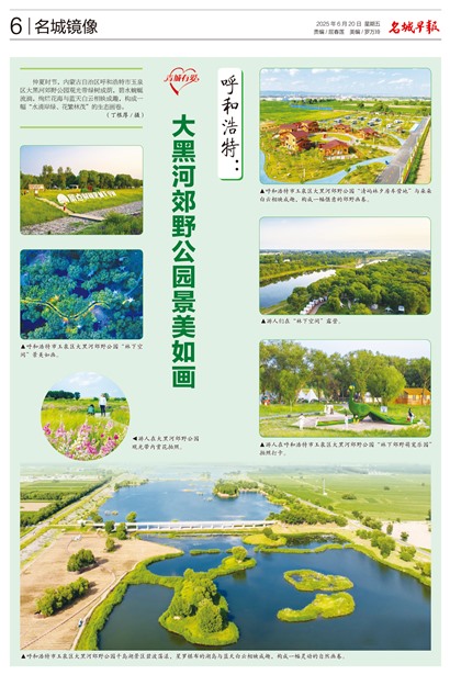 �����籨���Ǿ���