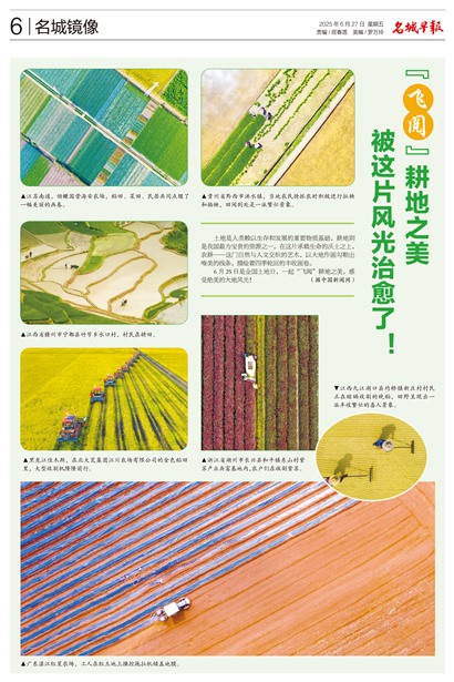 �����籨���Ǿ���