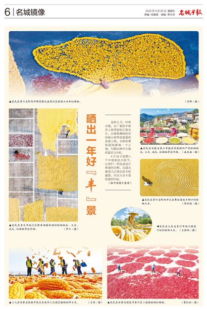 �����籨���Ǿ���