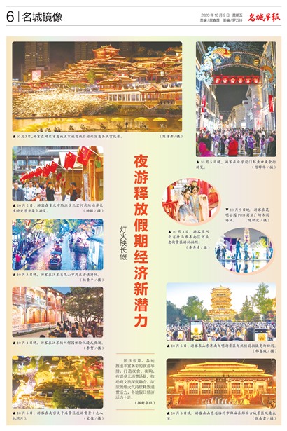 �����籨���Ǿ���