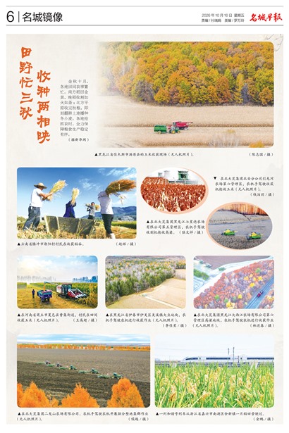 �����籨���Ǿ���