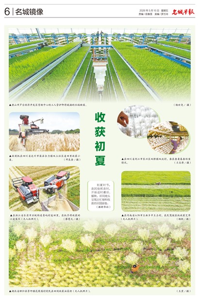 �����籨���Ǿ���