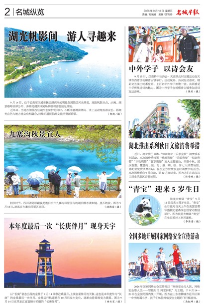 �����籨��������
